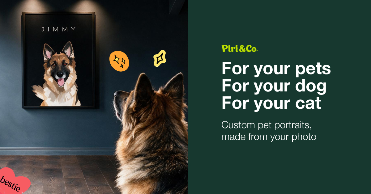 Black Friday Pet portrait sale